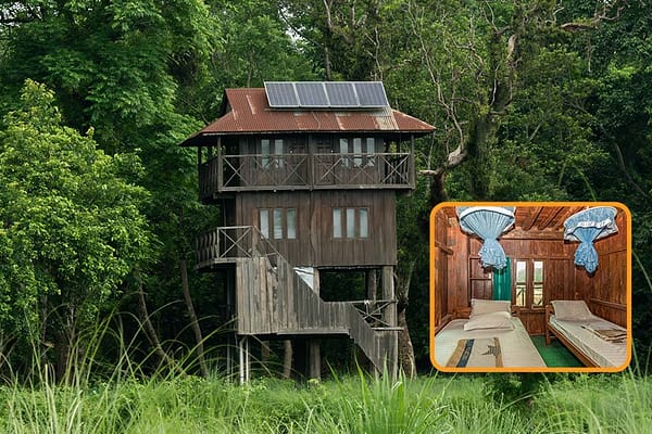 tower-night-stay-in-jungle
